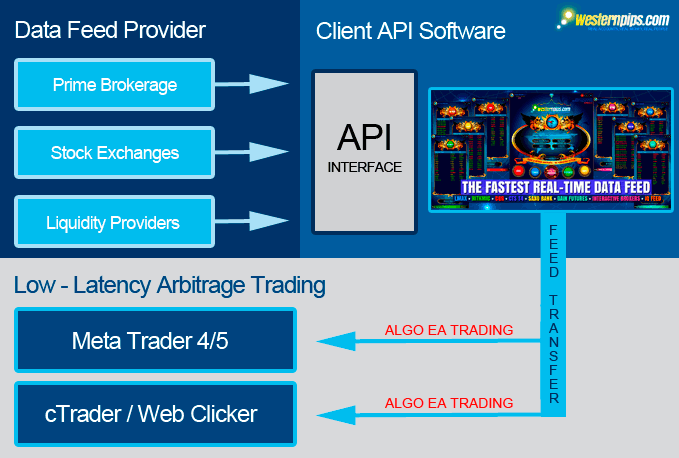 Api trading. Arbitrage Fix API. API trading 3d.